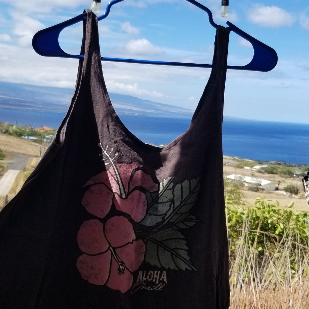 Oneill swing tank